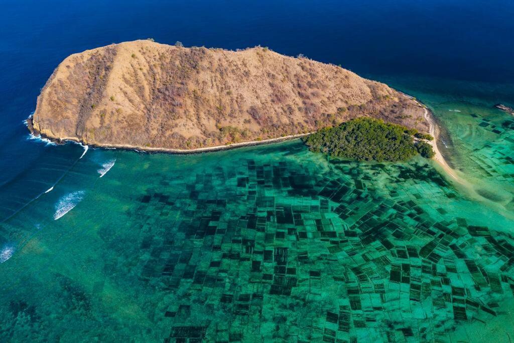 Beach-Front Sumbawa Surf House Lemonga Екстериор снимка