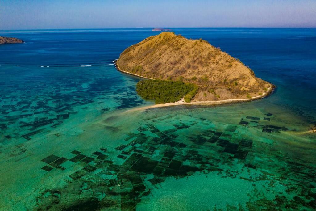 Beach-Front Sumbawa Surf House Lemonga Екстериор снимка